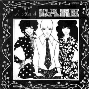 A Slice of Cake cover