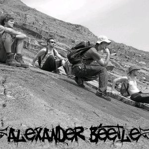 Avatar for Alexander Beetle