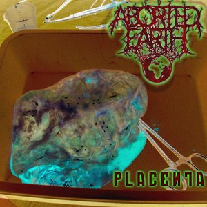 Placenta