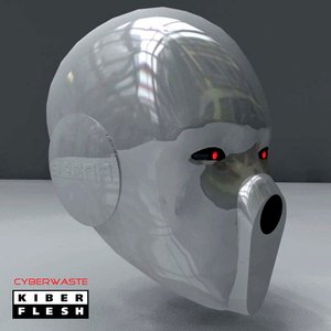Cyberwaste