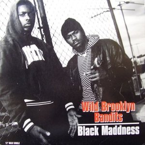 Wild Brooklyn Bandits