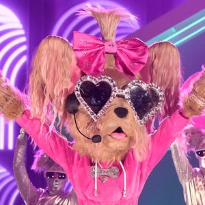 The Masked Singer: Yorkie 的头像