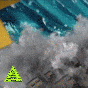 Emergency Tsunami