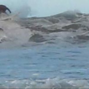 Dreamsurfer 的头像
