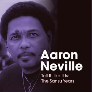 Tell It Like It Is: The Sansu Years