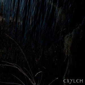 Echoes from silent shores