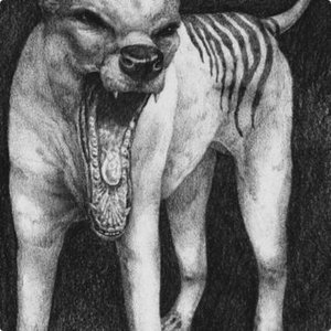 Thylacine