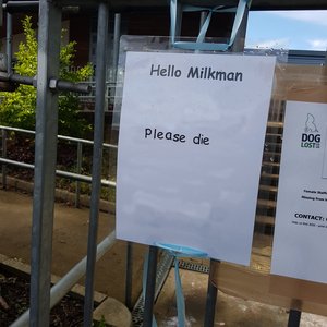 hello milkman