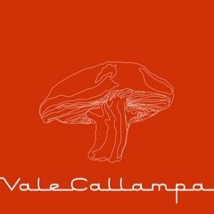 Vale Callampa