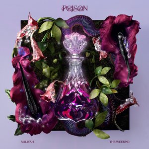 “Poison (feat. The Weeknd)”的封面