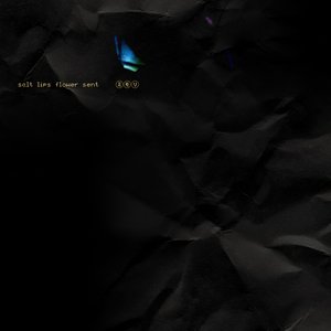 salt lips flower sent