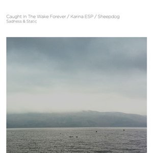 Image for 'Caught In The Wake Forever / Karina ESP / Sheepdog'