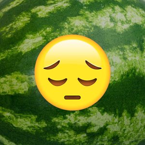 Sadboi Watermelon Party