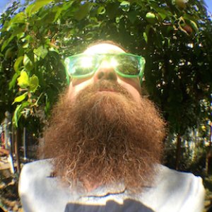 DUNGEON WEED 的头像