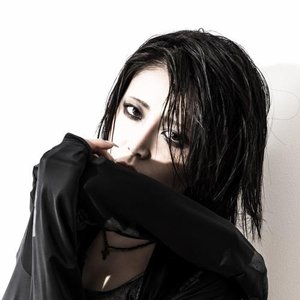 Alfakyun 的头像