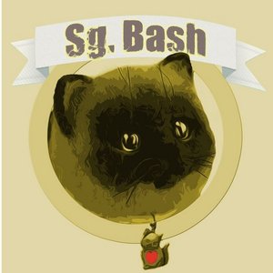 “Sg. Bash”的封面