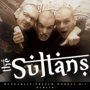 The Sultans photo provided by Last.fm