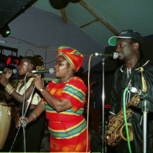 The Afrigo Band 的头像
