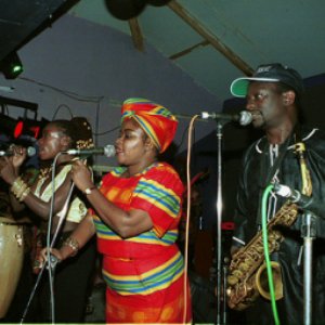 Awatar dla The Afrigo Band