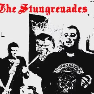 Image for 'The Stungrenades'