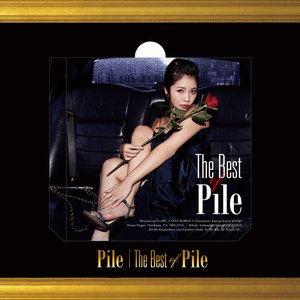 The Best of Pile ~Selection~