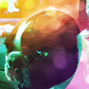 Avatar for Samuel Pling
