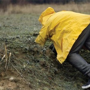 Mollono.Bass - My Hidden Playground Part 3 - Zortam Music