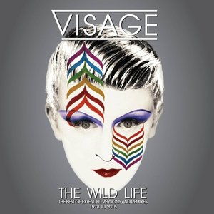 The Wild Life  (The Best of Extended Versions and Remixes - 1978)