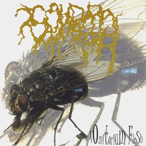 vomitorium flesh