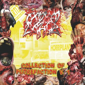 Collection Of Putrefaction V. 1