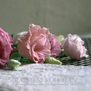 Katseeni kohotan