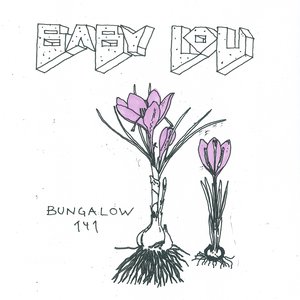 Bungalow 141