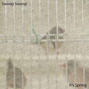 It's Spring