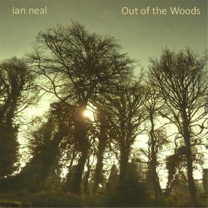 Out of the Woods [Explicit]