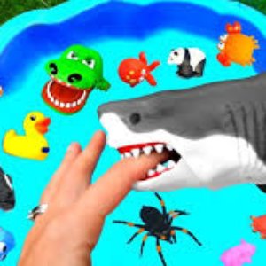 Avatar for Strawberry Jam Toys