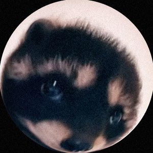 Avatar for Elven Dior