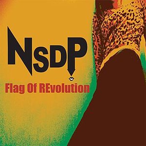 Flag Of Revolution