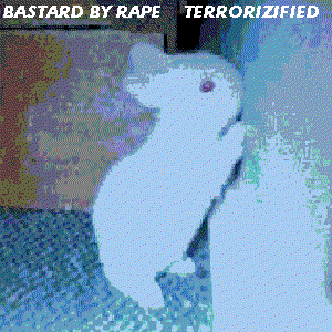 Image for 'terrorizified'