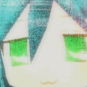 E C H O 的头像