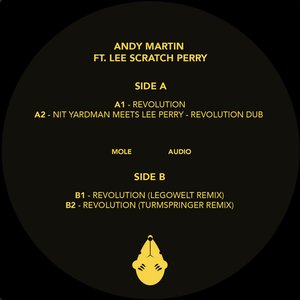 Revolution (feat. Lee Scratch Perry) - EP