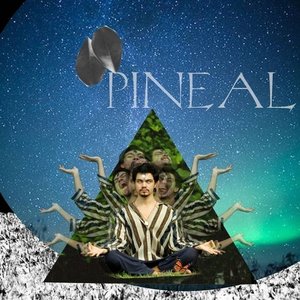 Pineal