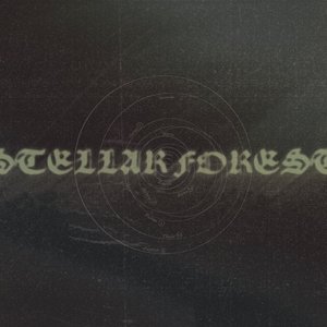 Avatar for Stellar Forest