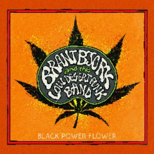Brant Bjork & The Low Desert Punk Band - Black Power Flower - Zortam Music