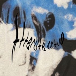 Avatar for afterlife_virtua