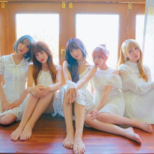 Avatar for Honey Popcorn