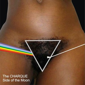 “The Charque Side Of The Moon”的封面