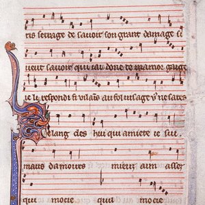 Codex Montpellier 的头像