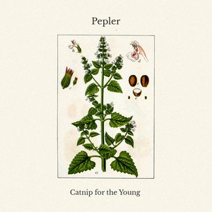 Catnip for the Young