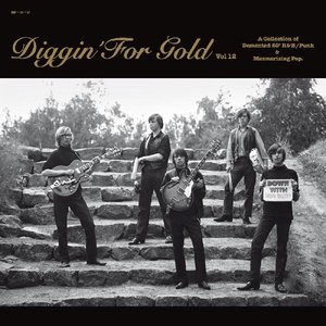 Diggin' For Gold vol 12