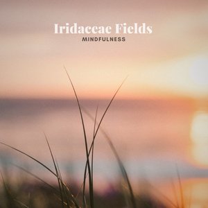 Mindfulness